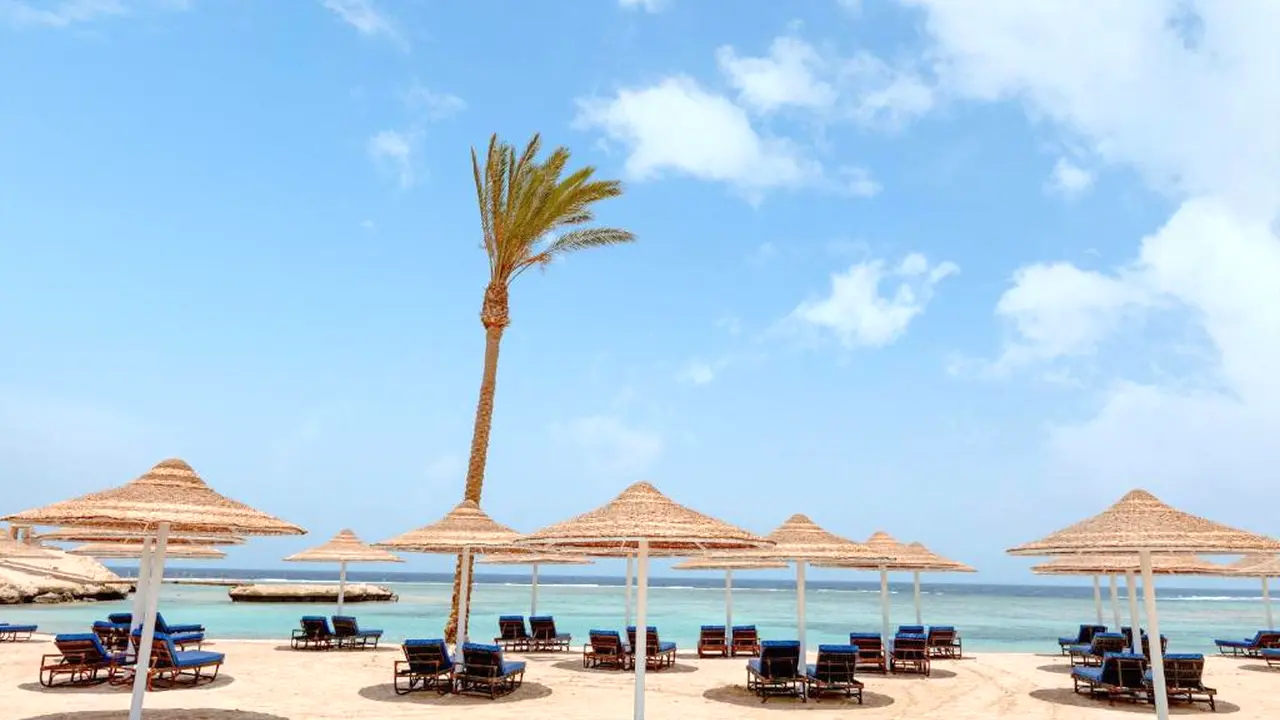 الفندق الباتروس فيتا ريزورت - بورتوفينو - مرسى علم